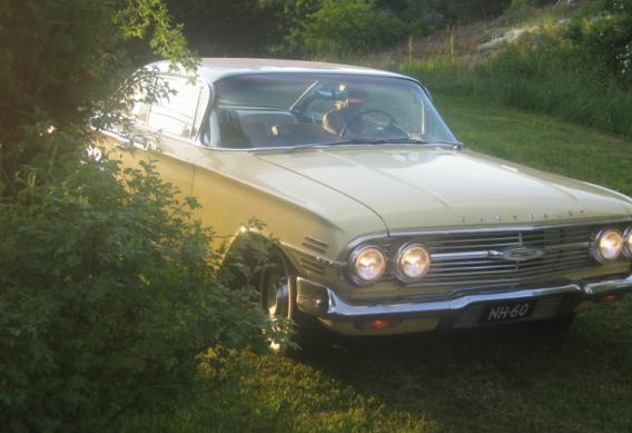 [Impala @ Backas G�rd Camping 2005]